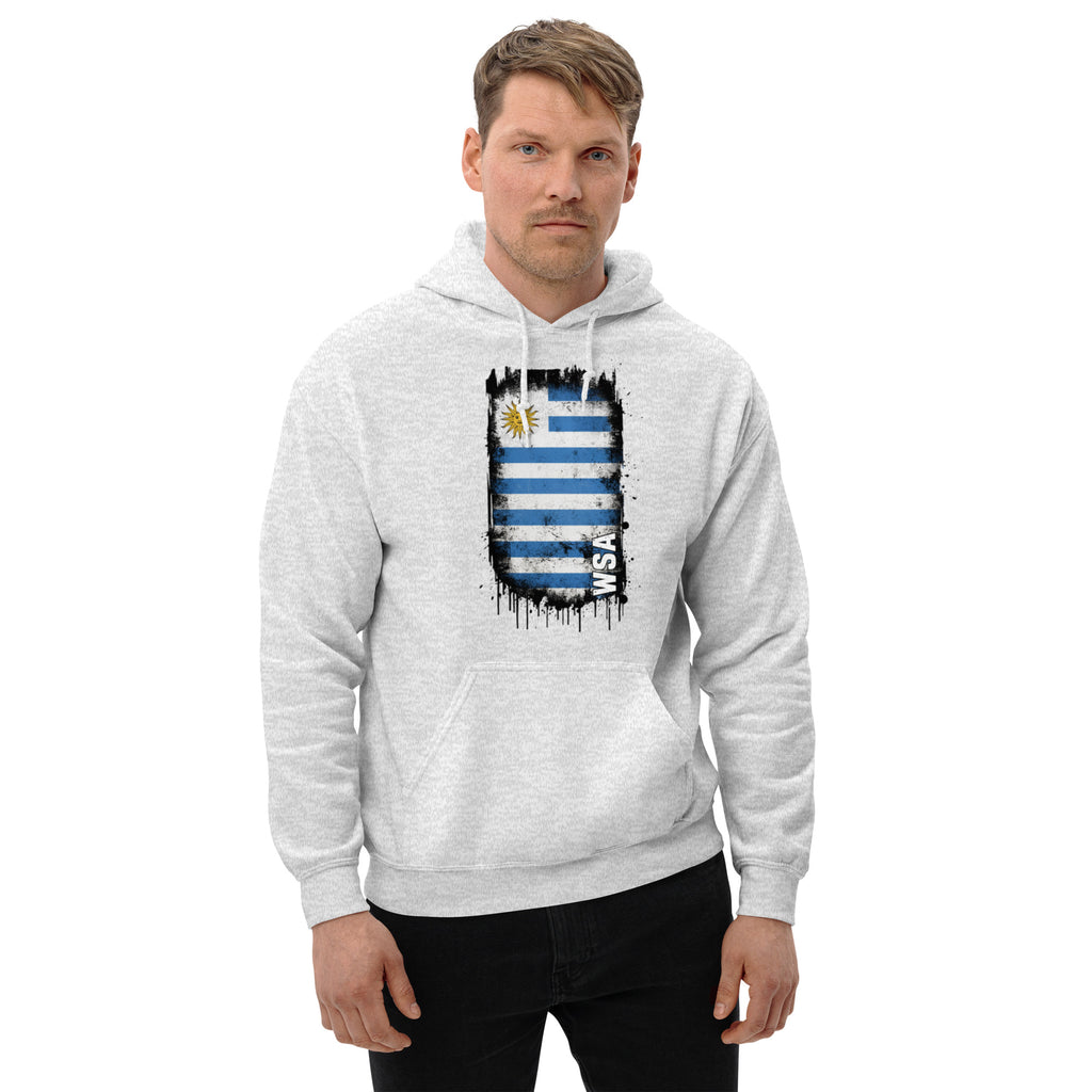 Man wearing a gray hoodie with a flag design on a white background