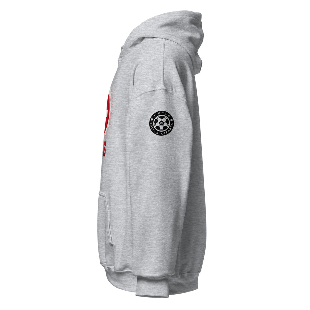 Gray hoodie with a logo on the chest and text on the sleeve against a white background